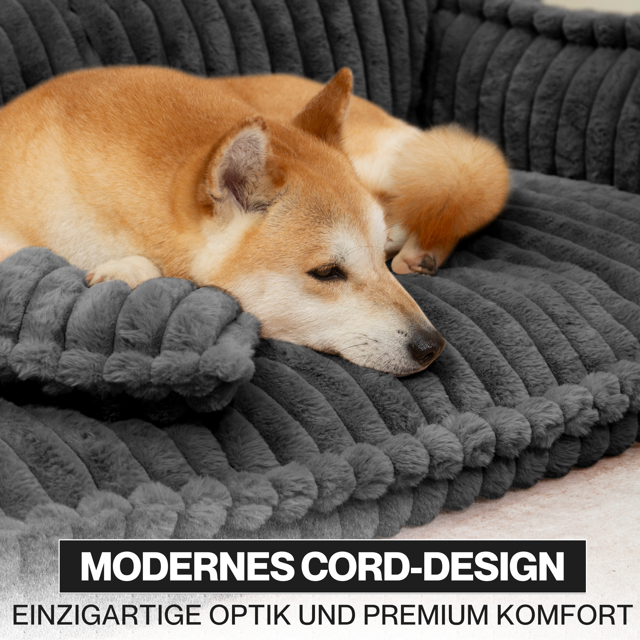 Haustiersofa, Chaffar“ – Für Katzen und Hunde – Moderner Stil – Cord-Design – Orthopädische Matratze