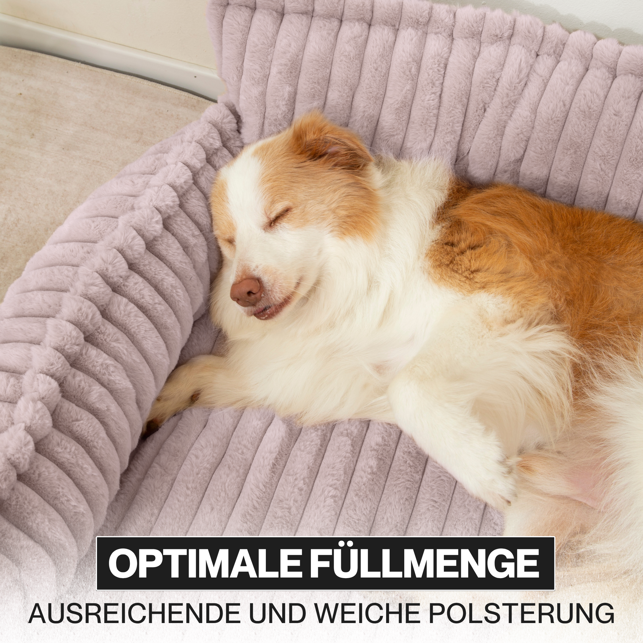 Haustiersofa, Chaffar“ – Für Katzen und Hunde – Moderner Stil – Cord-Design – Orthopädische Matratze
